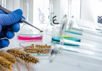 Seed Quality Control and Seed Testing